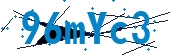 recaptcha