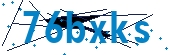 recaptcha
