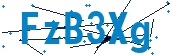 recaptcha