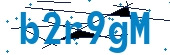 recaptcha